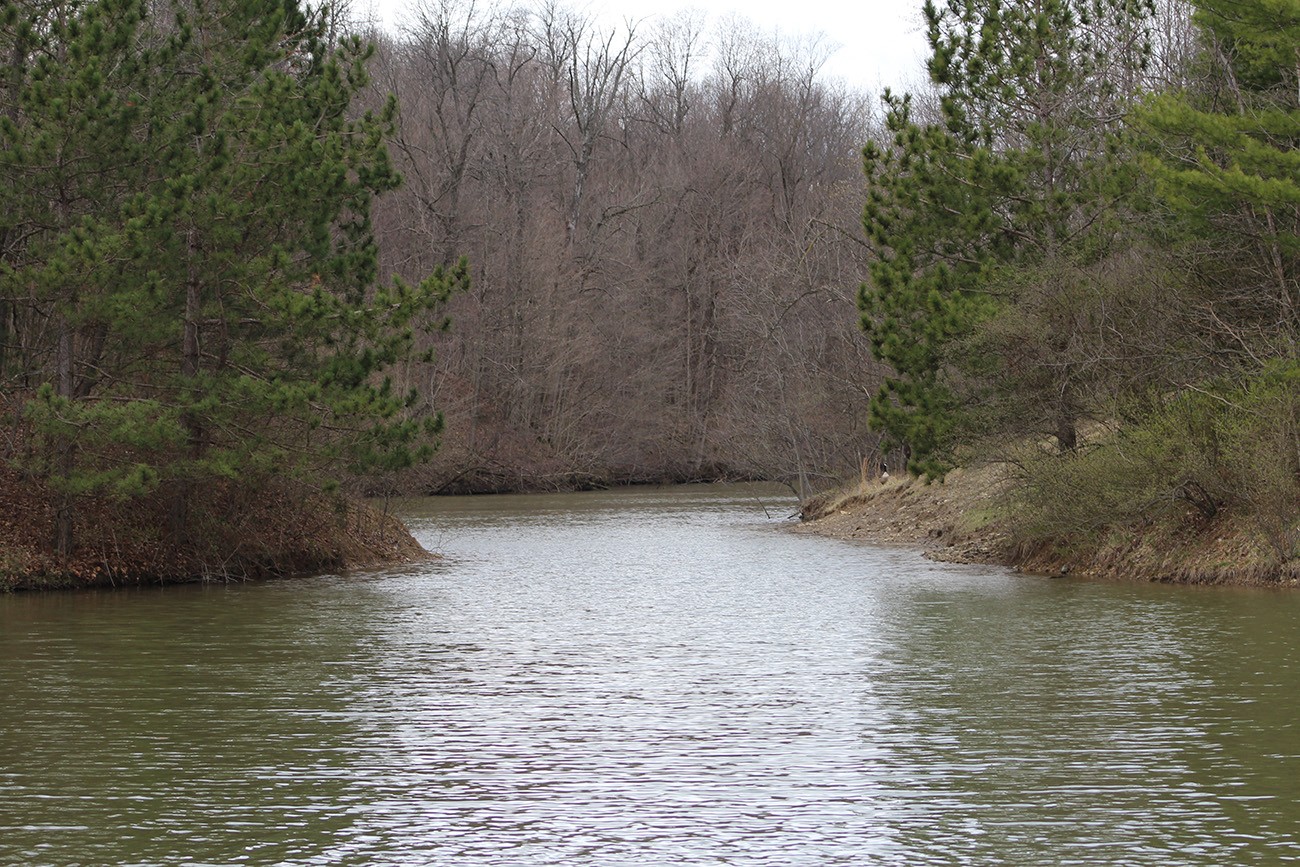 Bass fishing at Briarwood fishing club